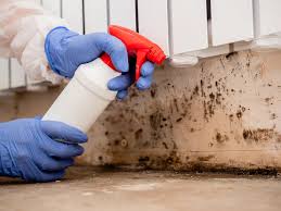 Best Forensic Mold Investigation  in USA